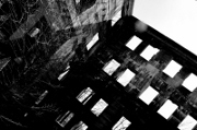 images/hudsonvalley/shell.jpg